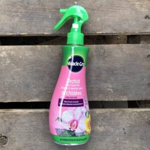engrais orchidee