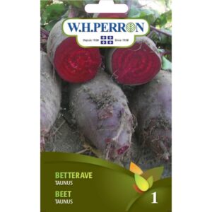Betterave Taunus