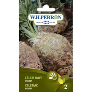 Céleri-Rave Balena