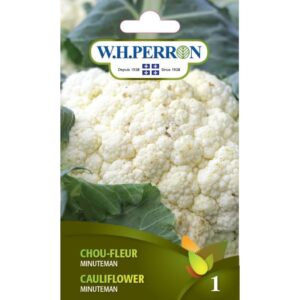 Chou-fleur Minuteman
