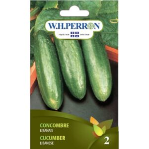 Concombre Libanais