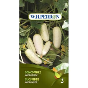 Concombre Martini Blanc