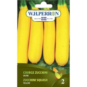 Courge Zucchini jaune
