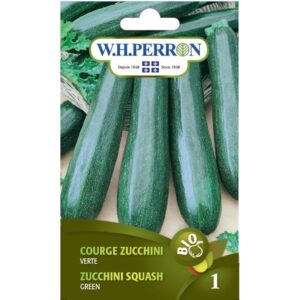 Courge Zucchini verte