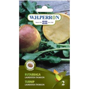 Rutabbaga Laurentien Thomson