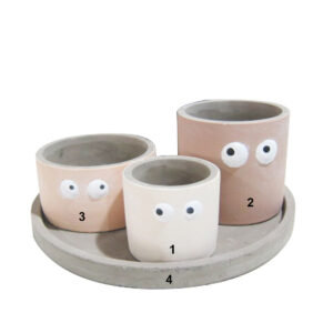 Pot en ciment "Googly eye"