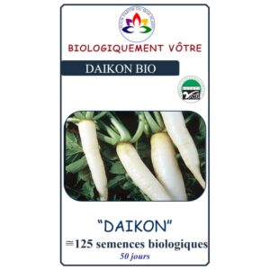 Radis Daikon