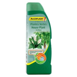 Engrais pour plantes vertes