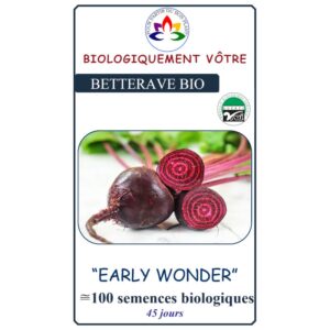 Betterave Early Wonder