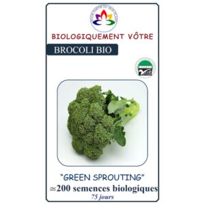 Brocoli Green Sprouting