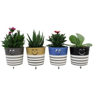 Pot en céramique avec visage sourire