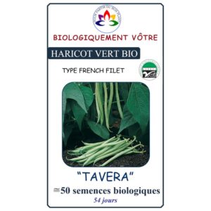 Haricot Vert Tavera