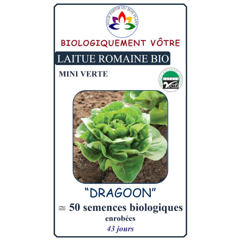 Laitue Romaine Mini verte Dragoon