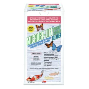 Traitement pour bassin printemps/été