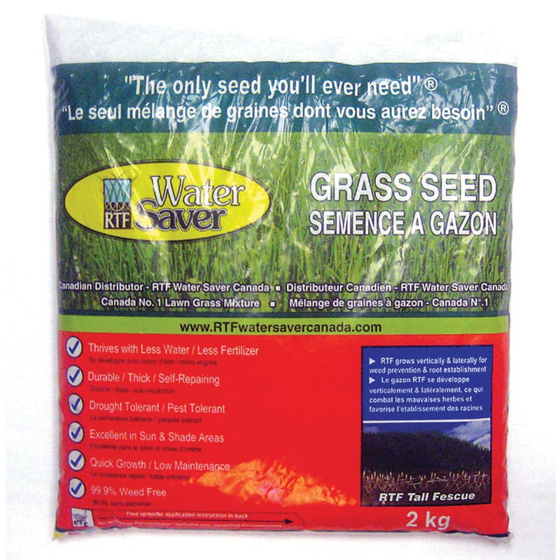 Semences à gazon ombre et soleil