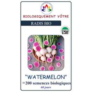 Radis Watermelon