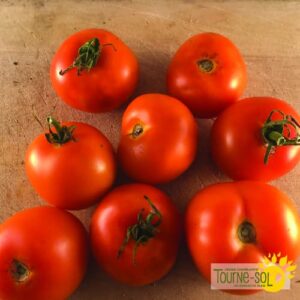 Tomate Jaune Flamée