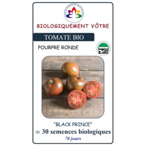 Tomate Black Prince