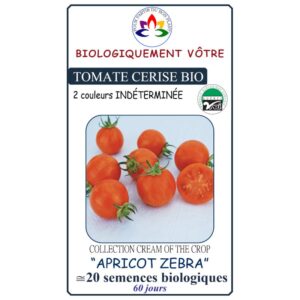 Tomate cerise Apricot Zebra