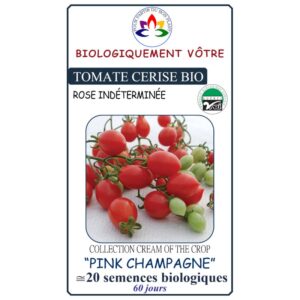 Tomate cerise Pink Champagne