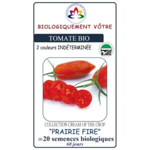 Tomate cerise Prairie Fire