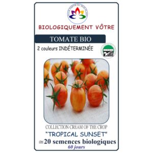 Tomate cerise Tropical Sunset