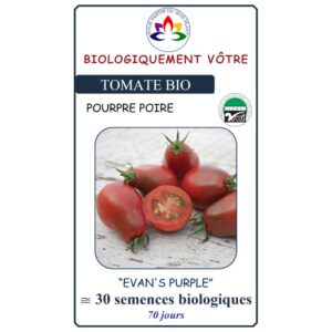 Tomate Evan's Purple